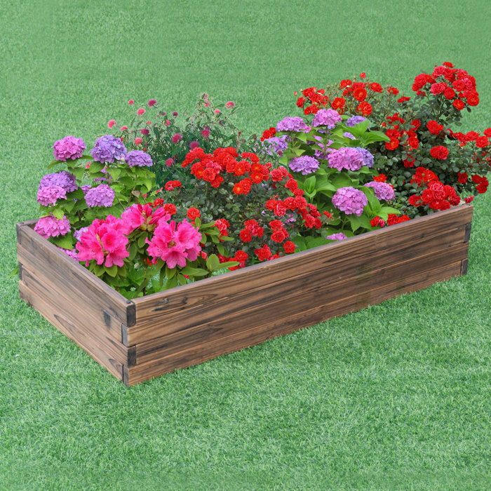 Arlmont & Co. 2 ft x 4 ft Wood Raised Garden Bed | Wayfair